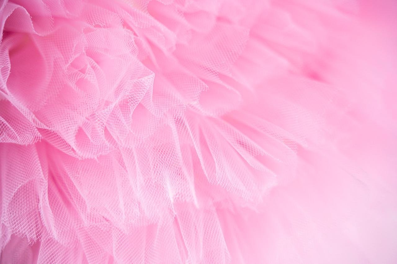 FROU FROU BAG